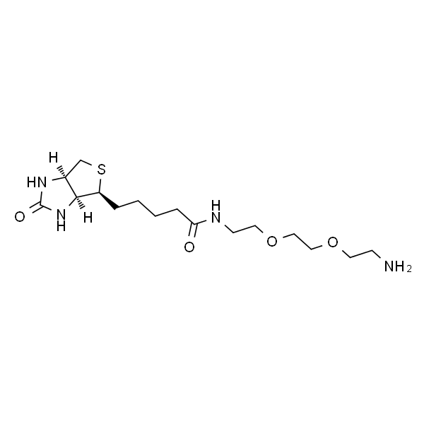 生物素-PEG2-胺