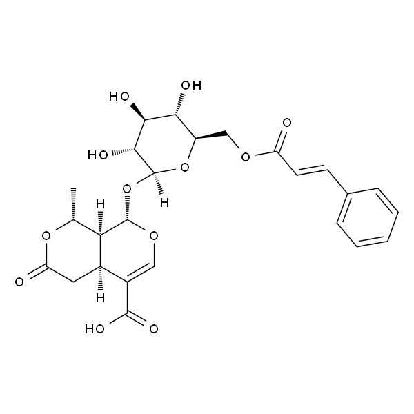6'-O-Cinnamoyl-8-epikingisidic acid