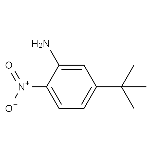 5-(叔丁基)-2-硝基苯胺