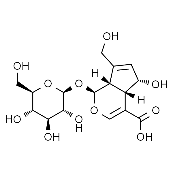 去乙酰车叶草苷酸
