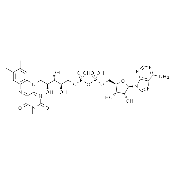 腺嘌呤黄素二核苷酸