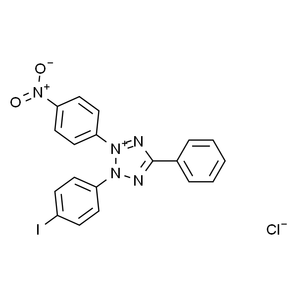 2-(4-碘苯基)-3-(4-硝基苯基)-5-苯基-2H-四唑-3-氯化铵