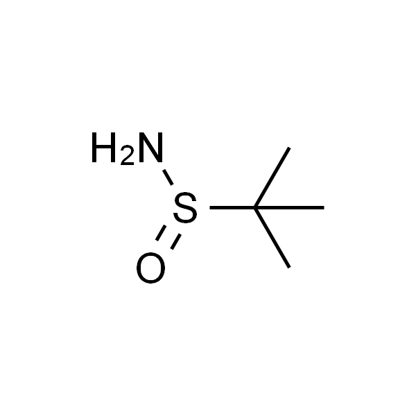 叔丁基亚磺酸胺