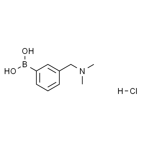 (3-((二甲基氨基)甲基)苯基)硼酸盐酸盐