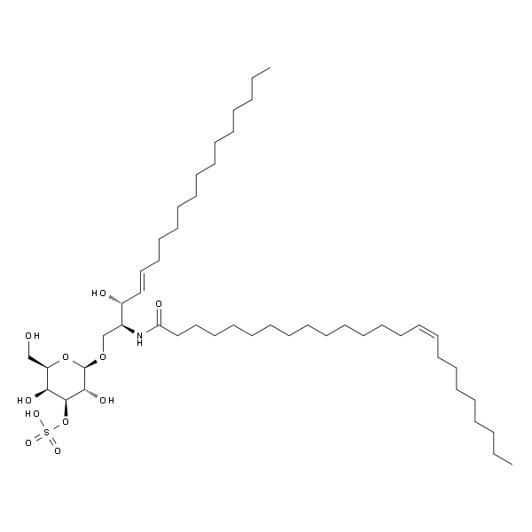 C24:1 3'-sulfo Galactosylceramide (d18:1/24:1(15Z))