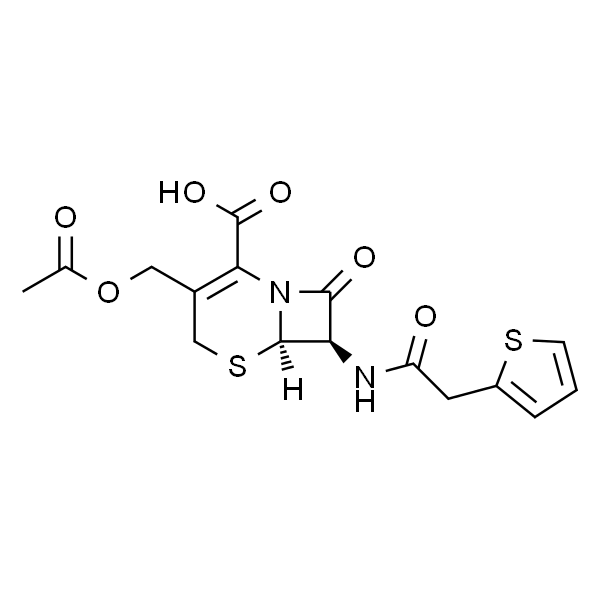 头孢噻吩