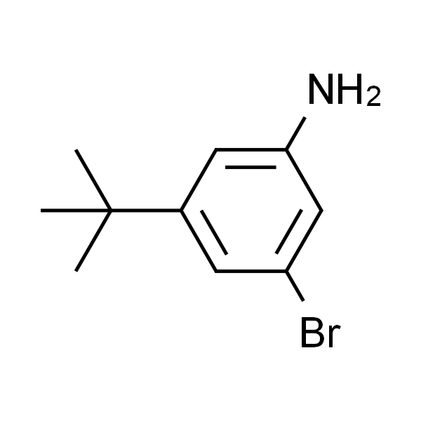 3-溴-5-(叔丁基)苯胺