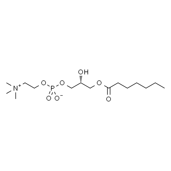 1-heptanoyl-2-hydroxy-sn-glycero-3-phosphocholine