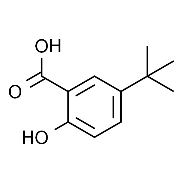 2-羟基-5-叔丁基苯甲酸