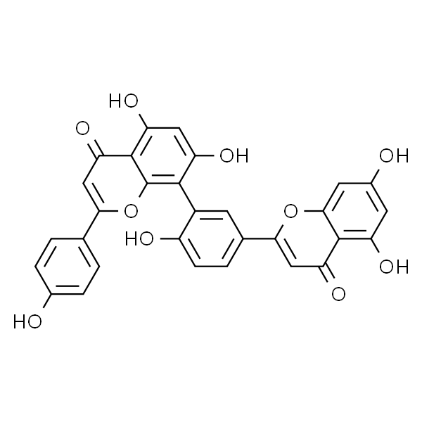 穗花杉双黄酮