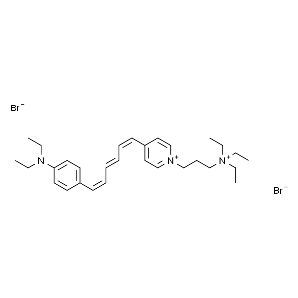 NeurotransRed C2 [N-(3-Triethylammoniumpropyl)-4-(6-(4-Diethylamino)phenyl)hexatrienyl)Pyridinium Dibromide],nbsp; FMreg; 4-64 is TM of Molecular Probes