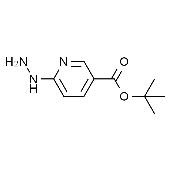 6-肼基烟酸叔丁酯