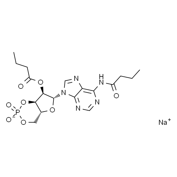 N6,2'-O-二丁酰腺苷3',5'-环状单磷酸钠盐