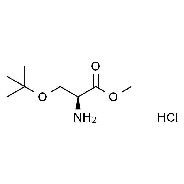 O-叔丁基-L-丝氨酸甲酯盐酸盐