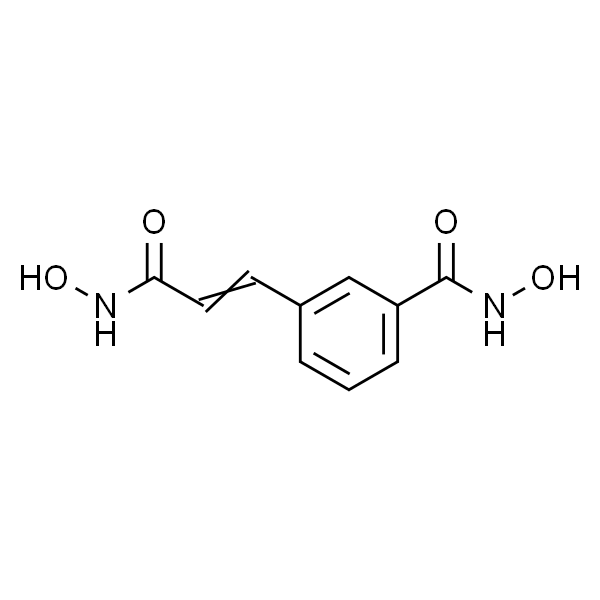 m-Carboxycinnamic Acid Bishydroxamide