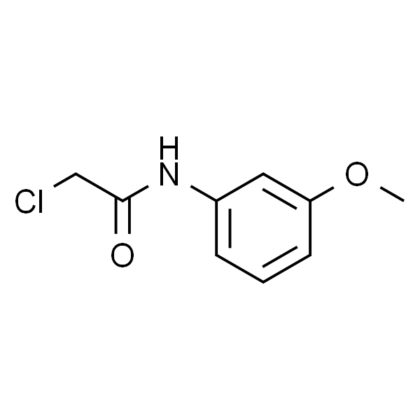 2-氯-N-(3-甲氧基苯基)乙酰胺