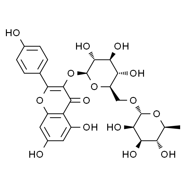 山柰酚-3-O-芸香糖苷