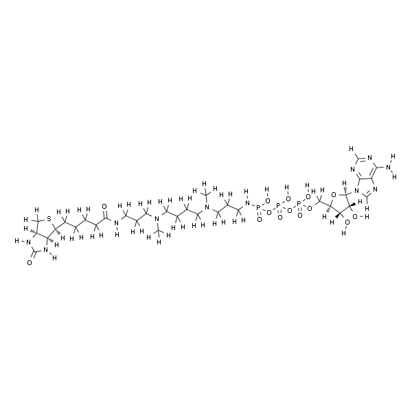 ATP-polyamine-biotin