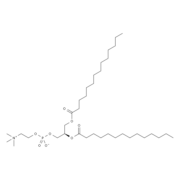 1,2-二肉豆蔻酰-sn-甘油-3-磷酰胆碱