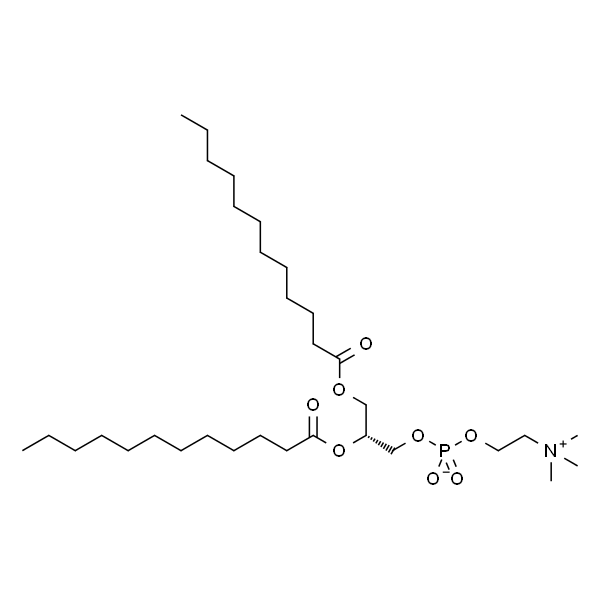 L-A-月桂酰磷脂酰胆碱