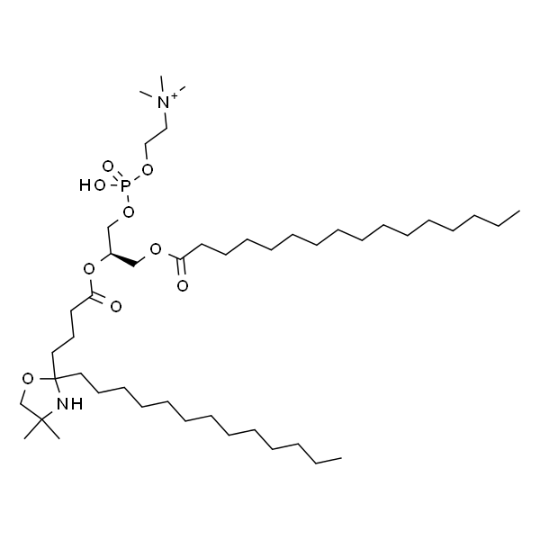 1-palmitoyl-2-stearoyl-(5-doxyl)-sn-glycero-3-phosphocholine