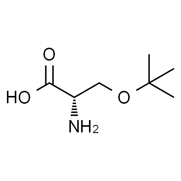 O-叔丁基-L-丝氨酸