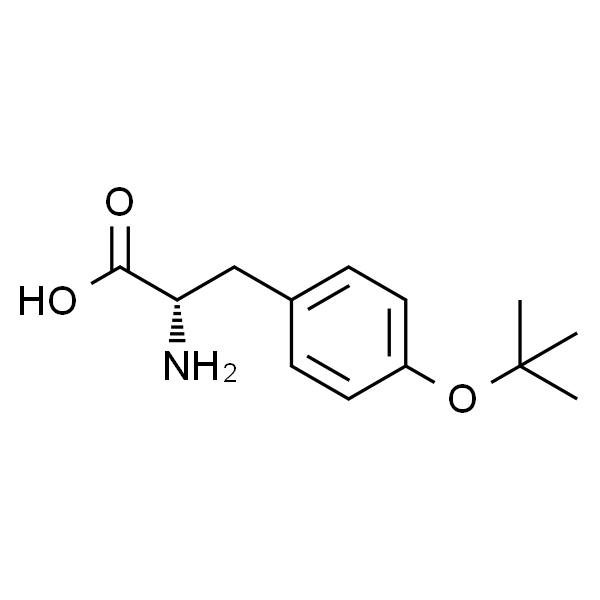 O-叔丁基-L-酪氨酸