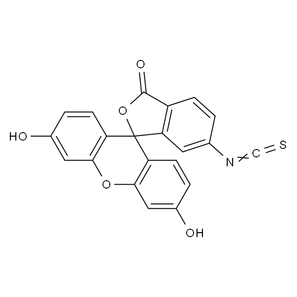 荧光素-6-异硫氰酸酯 (同分异构体II)