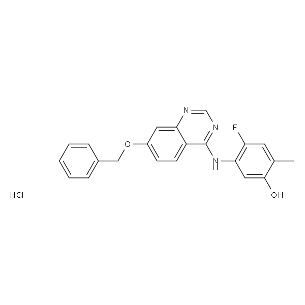 ZM323881HCL