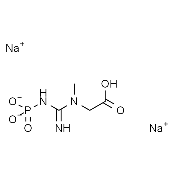 磷酸肌酸 二钠盐 水合物