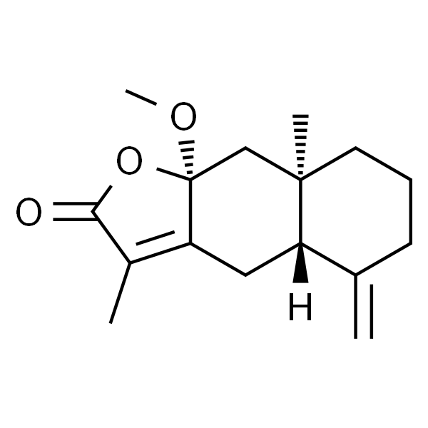 8β-Methoxyatractylenolide I