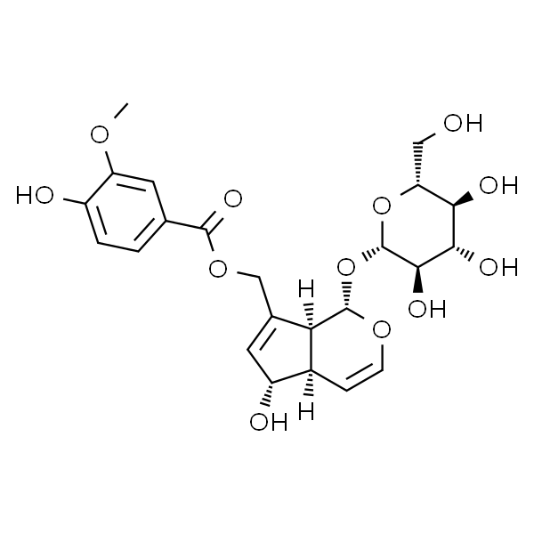 10-O-Vanilloylaucubin