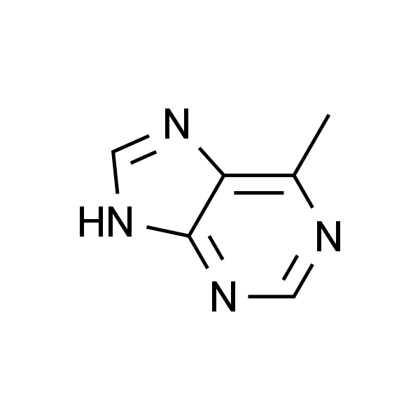 6-甲基嘌呤