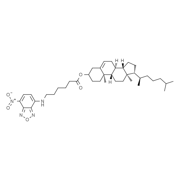 5-cholesten-3ß-ol 6-[(7-nitro-2-1,3-benzoxadiazol-4-yl)amino]caproate