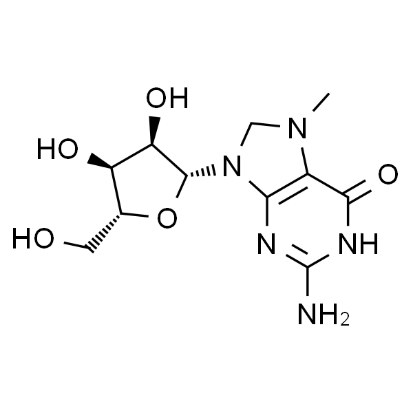 7-Methylguanosine