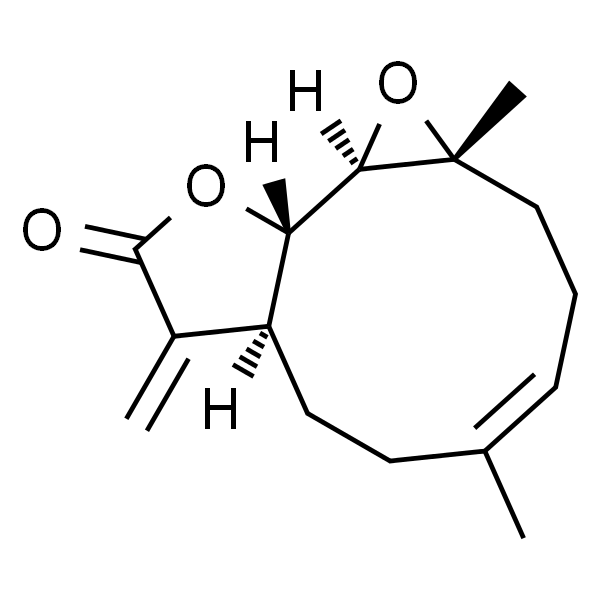 小白菊内酯