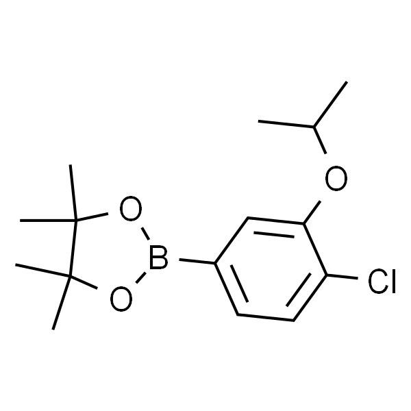 4-氯-3-异丙基苯硼酸频哪醇酯