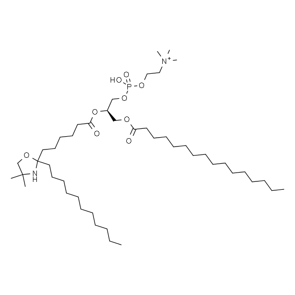 1-palmitoyl-2-stearoyl-(7-doxyl)-sn-glycero-3-phosphocholine