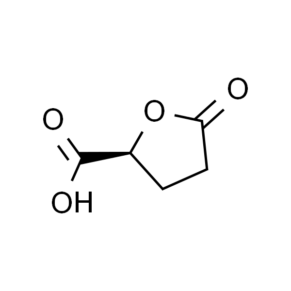(S)-(+)-5-氧代四氢呋喃-2-羧酸