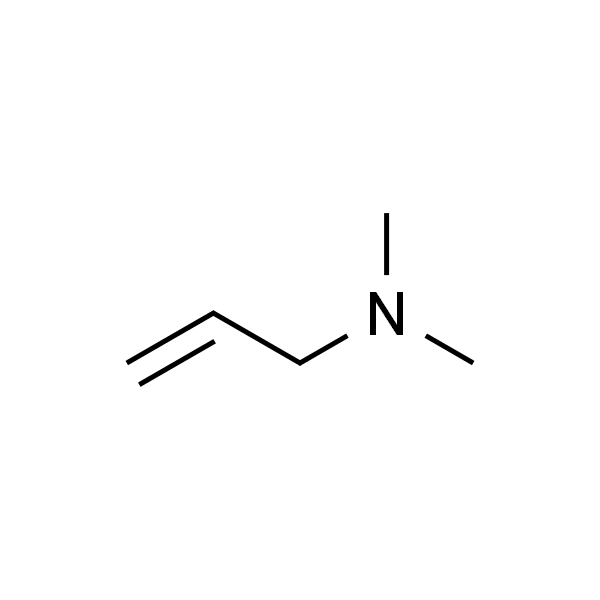 N,N-二甲基烯丙基胺