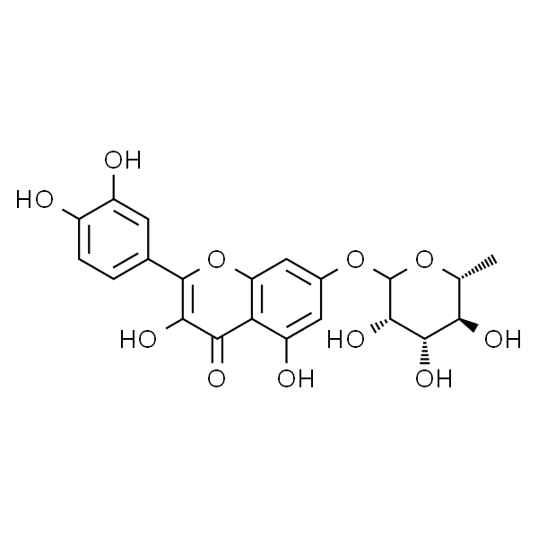 槲皮素7-O-α-L鼠李糖苷