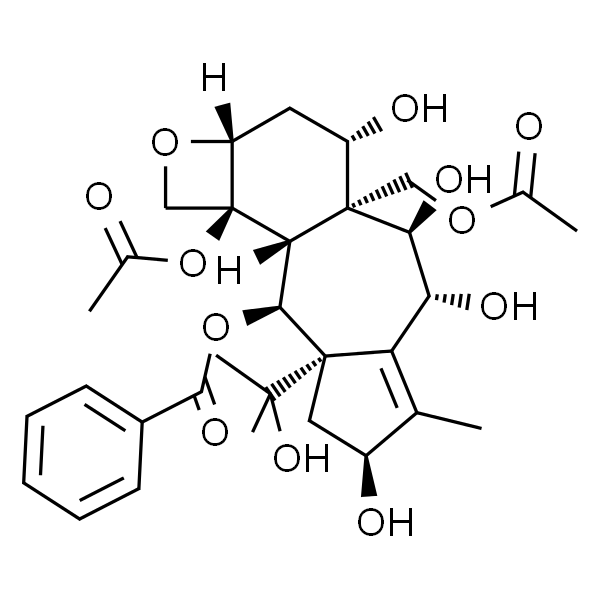 13-邻去乙酰基红豆杉醇 Z