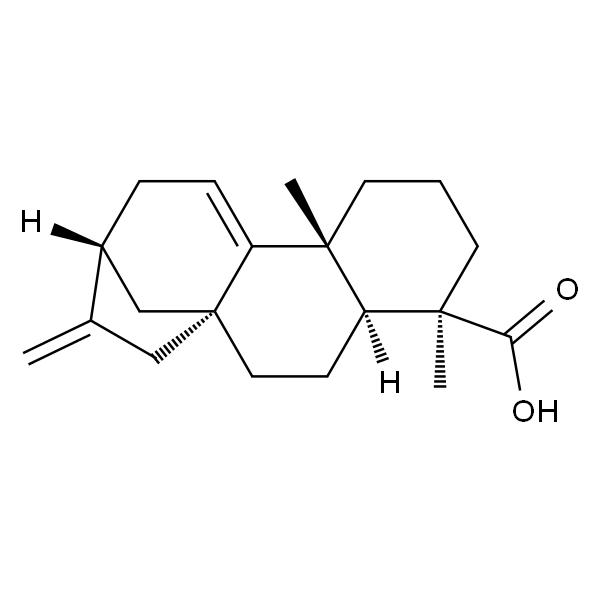 Grandiflorenic acid