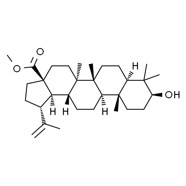 桦木酸甲酯