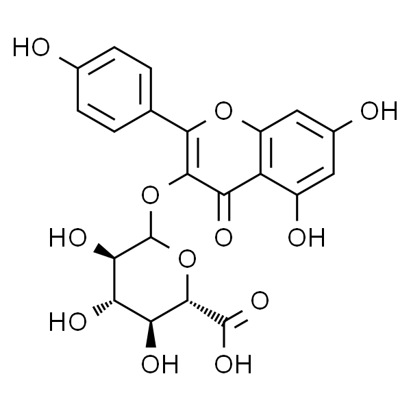 山奈酚葡萄糖醛酸苷