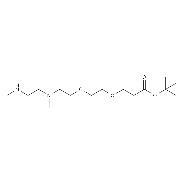 N,N''-DME-N-PEG2-Boc
