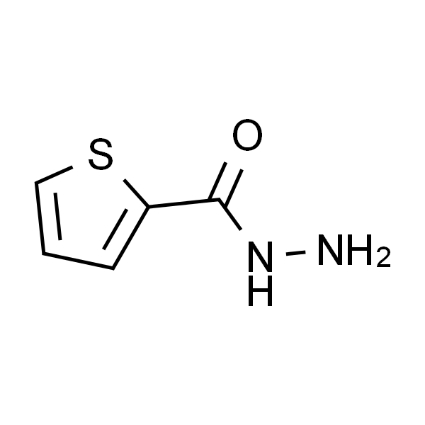 2-噻吩甲酰肼