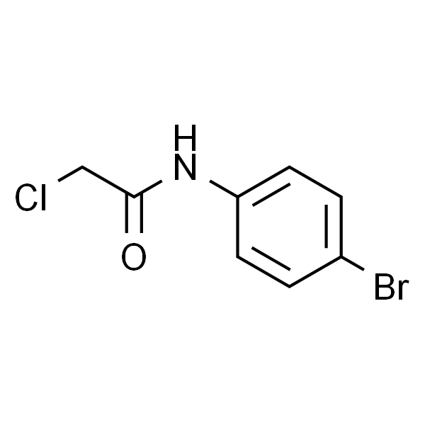 N-(4-溴苯基)-2-氯乙酰胺