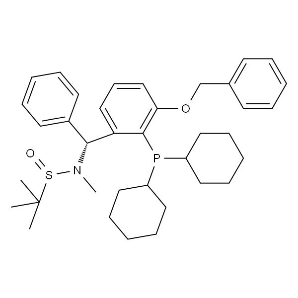 [S(R)]-N-[(R)-[(3-苄氧基-2-(二环己基膦)苯基)苯甲基]-N-甲基-2-叔丁基亚磺酰胺
