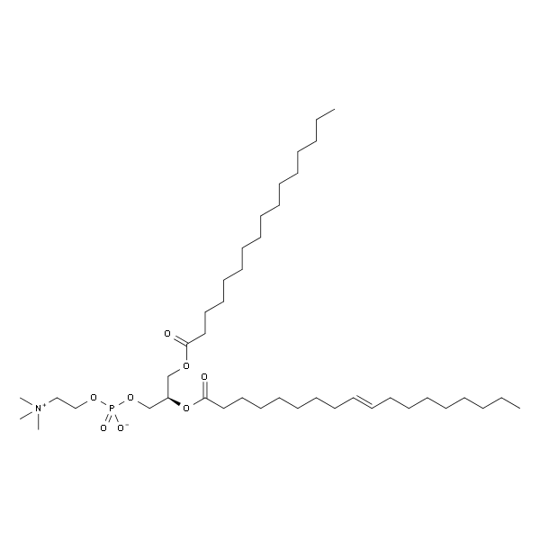 2-油酰-1-棕榈锡甘油-3-磷酸胆碱